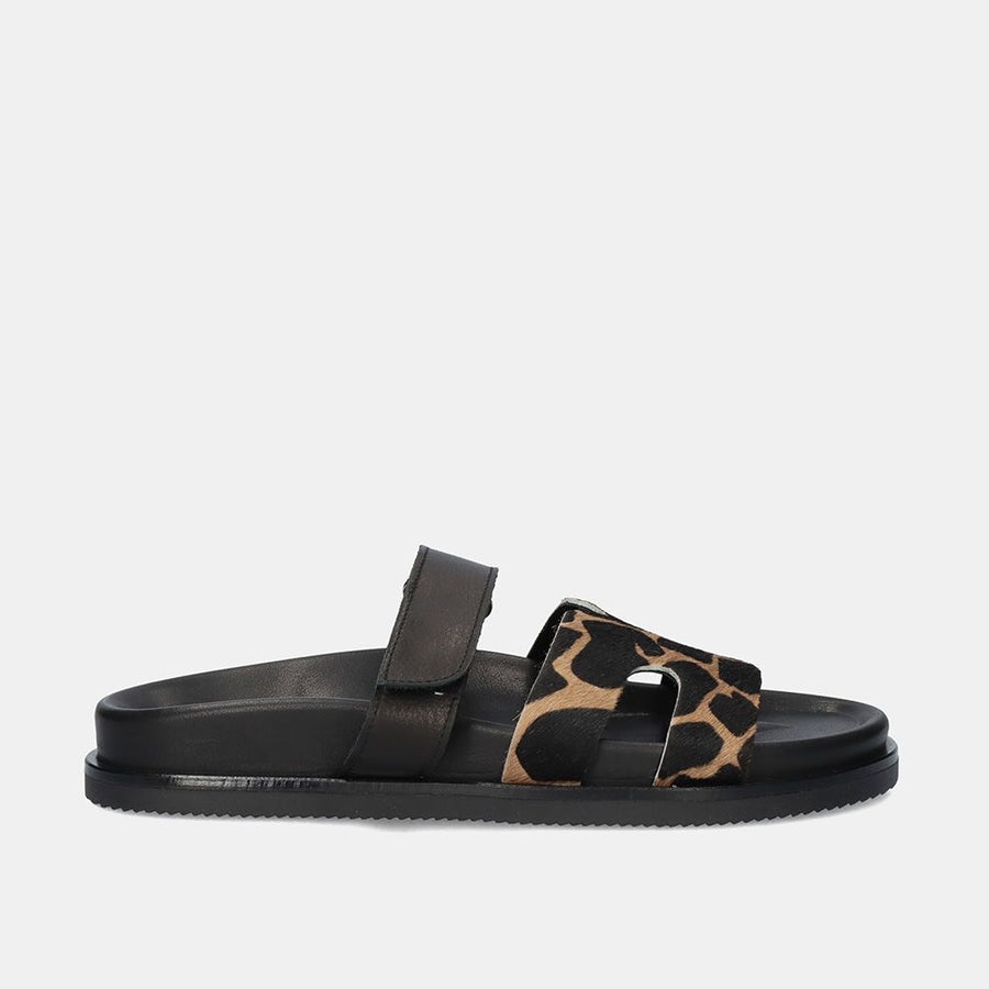 Exé Shoe HS53023-40V