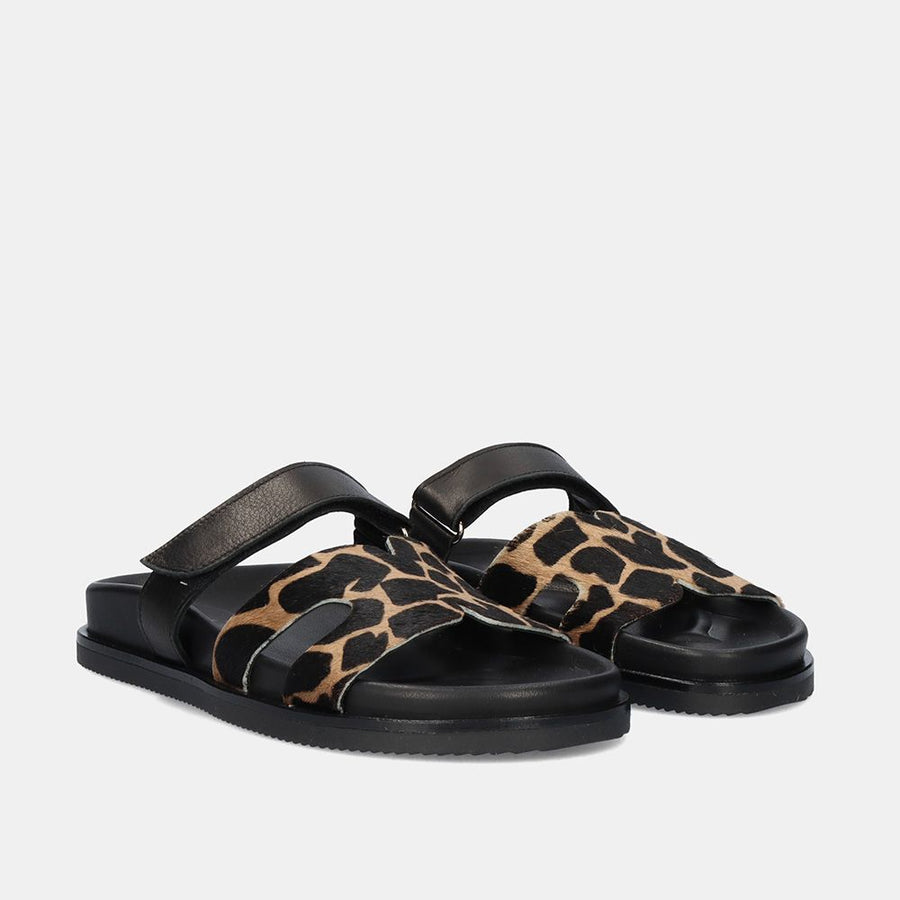 Exé Shoe HS53023-40V